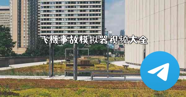 飞機事故模拟器视频大全