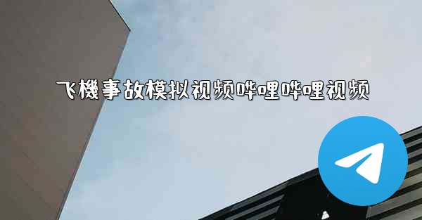 飞機事故模拟视频哗哩哗哩视频