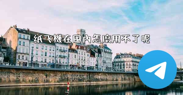 纸飞機在國內怎麼用不了呢