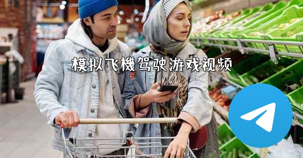 <b>模拟飞機驾驶游戏视频</b>