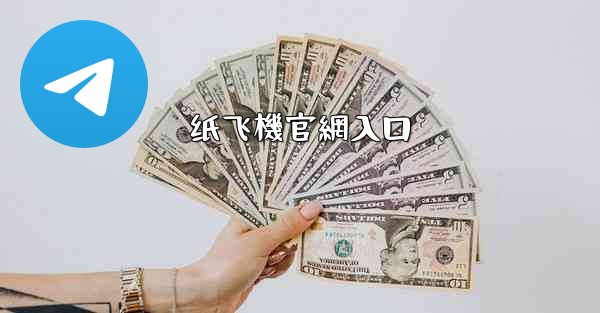 纸飞機官網入口