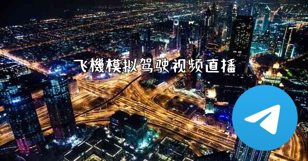 飞機模拟驾驶视频直播