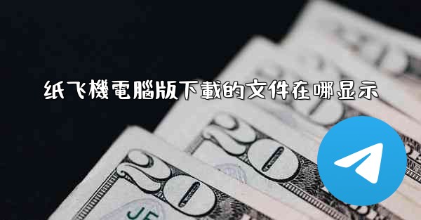 纸飞機電腦版下載的文件在哪显示