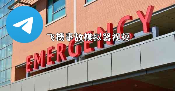 飞機事故模拟器视频