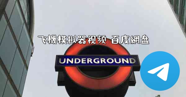 飞機模拟器视频 百度網盘