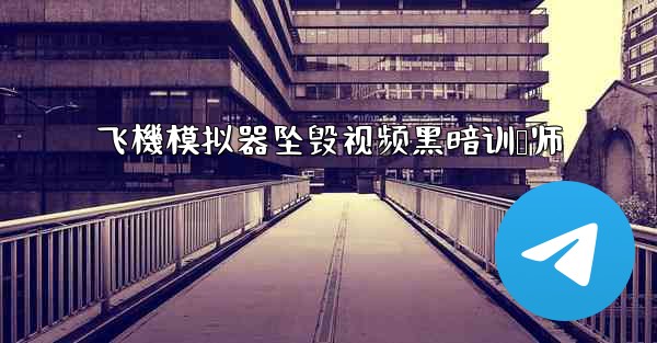 飞機模拟器坠毁视频黑暗训兽师