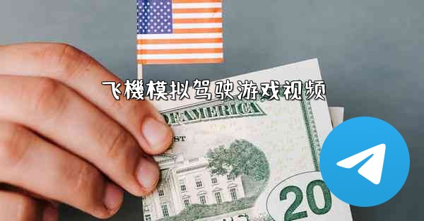 飞機模拟驾驶游戏视频