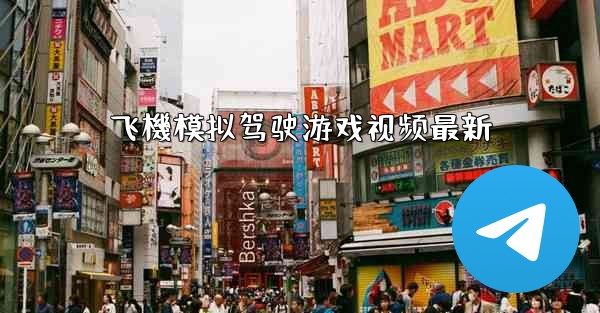 <b>飞機模拟驾驶游戏视频最新</b>