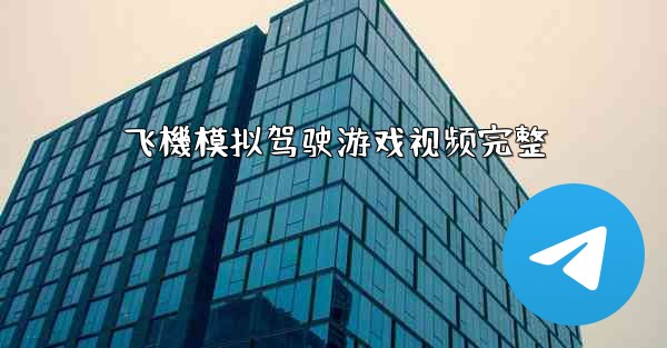飞機模拟驾驶游戏视频完整