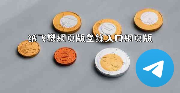 纸飞機網页版登錄入口網页版