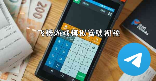 飞機游戏模拟驾驶视频