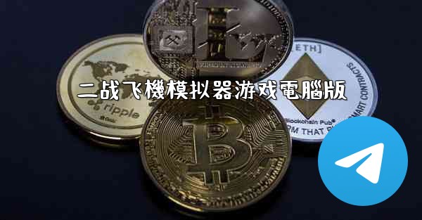 二战飞機模拟器游戏電腦版