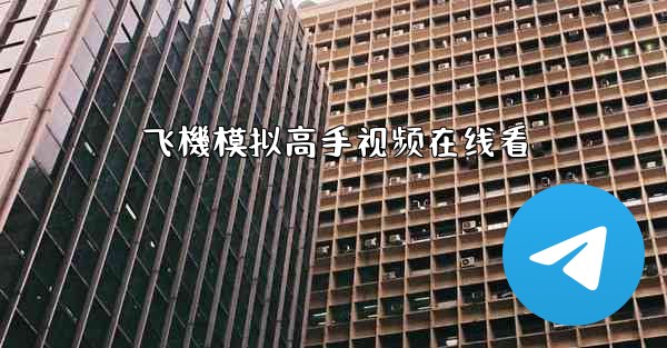 <b>飞機模拟高手视频在线看</b>