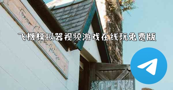 飞機模拟器视频游戏在线玩免费版