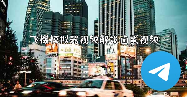 飞機模拟器视频解說卤蛋视频