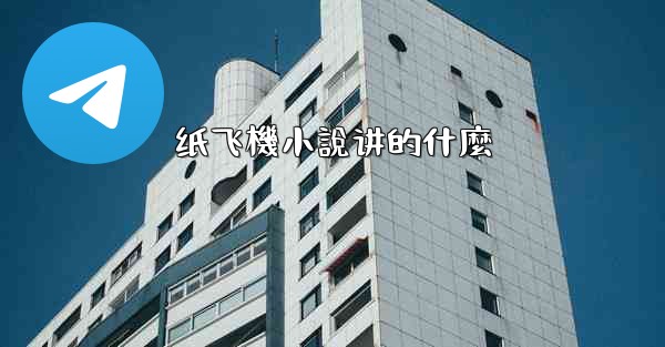 纸飞機小說讲的什麼