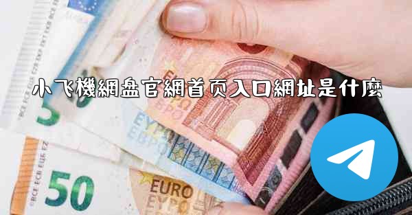 小飞機網盘官網首页入口網址是什麼