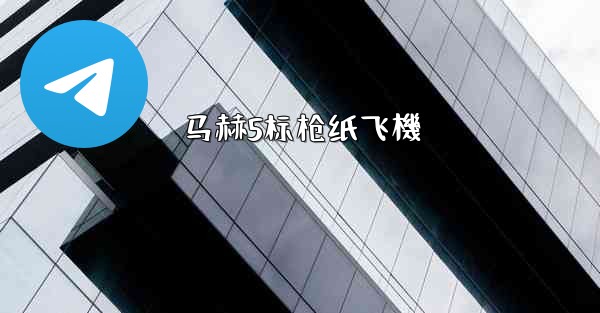 马赫5标枪纸飞機