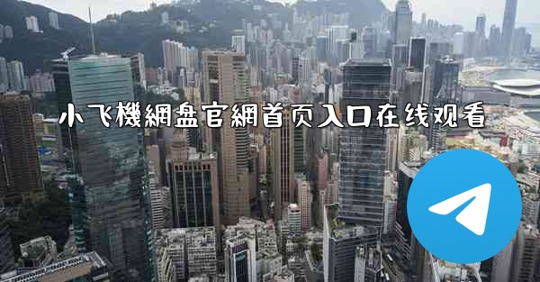 小飞機網盘官網首页入口在线观看