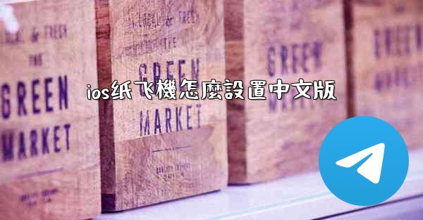 ios纸飞機怎麼設置中文版