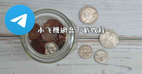 小飞機網盘下載教程