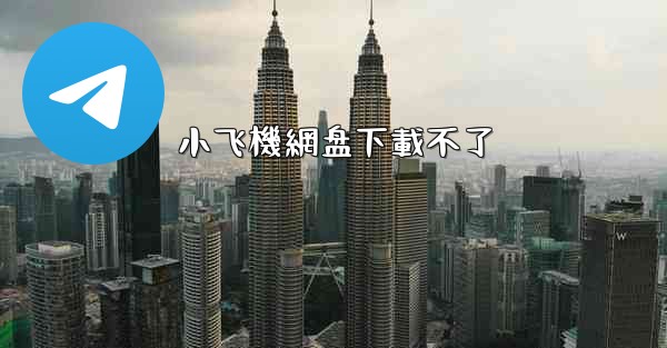 小飞機網盘下載不了