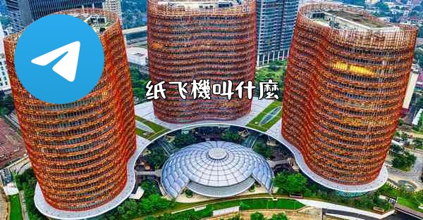 纸飞機叫什麼