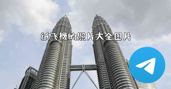 <b>纸飞機的照片大全图片</b>