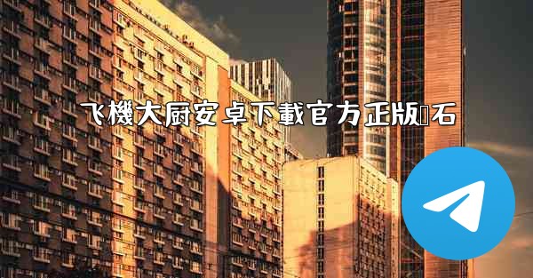 飞機大厨安卓下載官方正版钻石