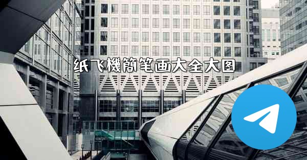 纸飞機簡笔画大全大图