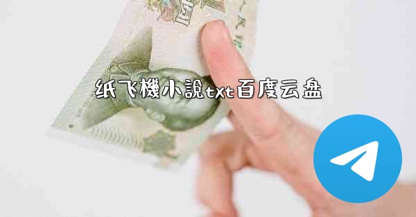 纸飞機小說txt百度云盘