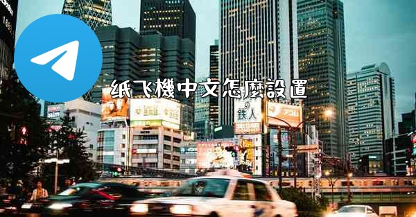 纸飞機中文怎麼設置