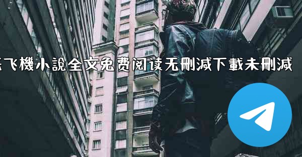 纸飞機小說全文免费阅读无刪減下載未刪減