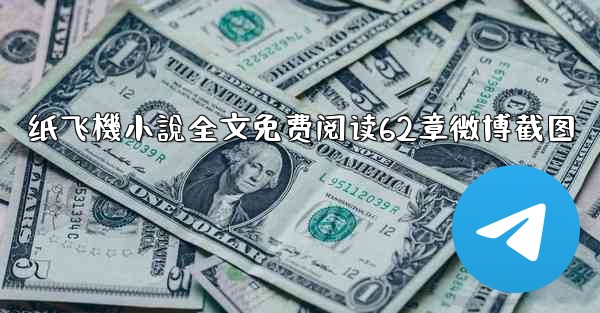 纸飞機小說全文免费阅读62章微博截图