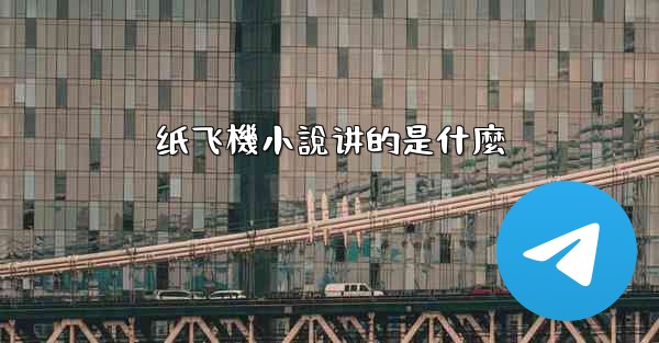 纸飞機小說讲的是什麼
