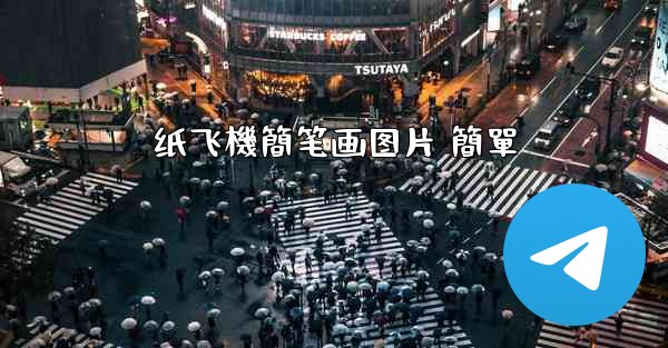 纸飞機簡笔画图片 簡單