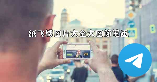 纸飞機图片大全大图簡笔画