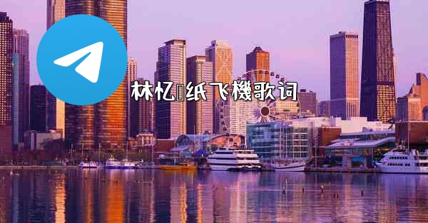 林忆莲纸飞機歌词