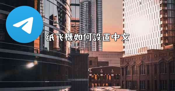 纸飞機如何設置中文