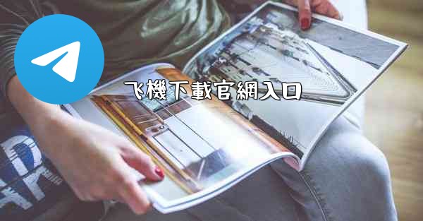 飞機下載官網入口