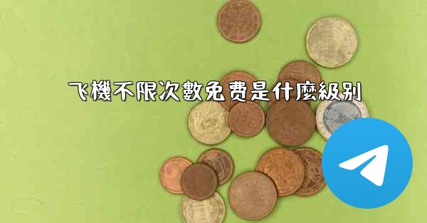 飞機不限次數免费是什麼級别