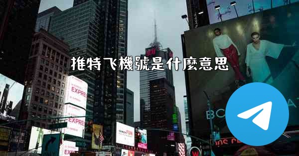 推特飞機號是什麼意思
