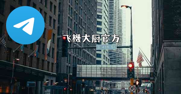 <b>飞機大厨官方</b>