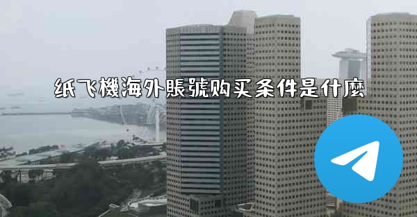 纸飞機海外賬號购买条件是什麼