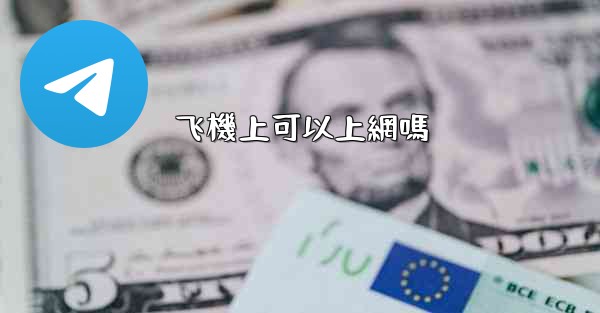 飞機上可以上網嗎