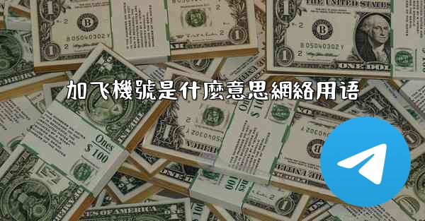 加飞機號是什麼意思網絡用语