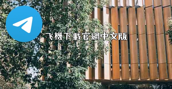 飞機下載官網中文版