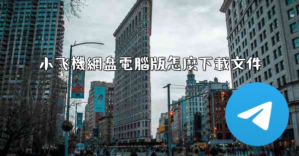 小飞機網盘電腦版怎麼下載文件