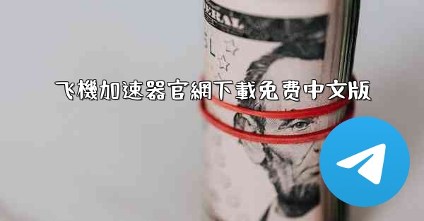 飞機加速器官網下載免费中文版