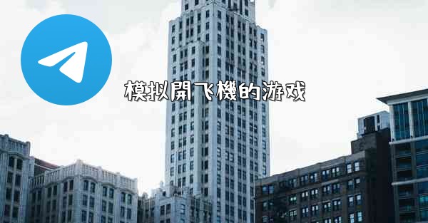 <b>模拟開飞機的游戏</b>